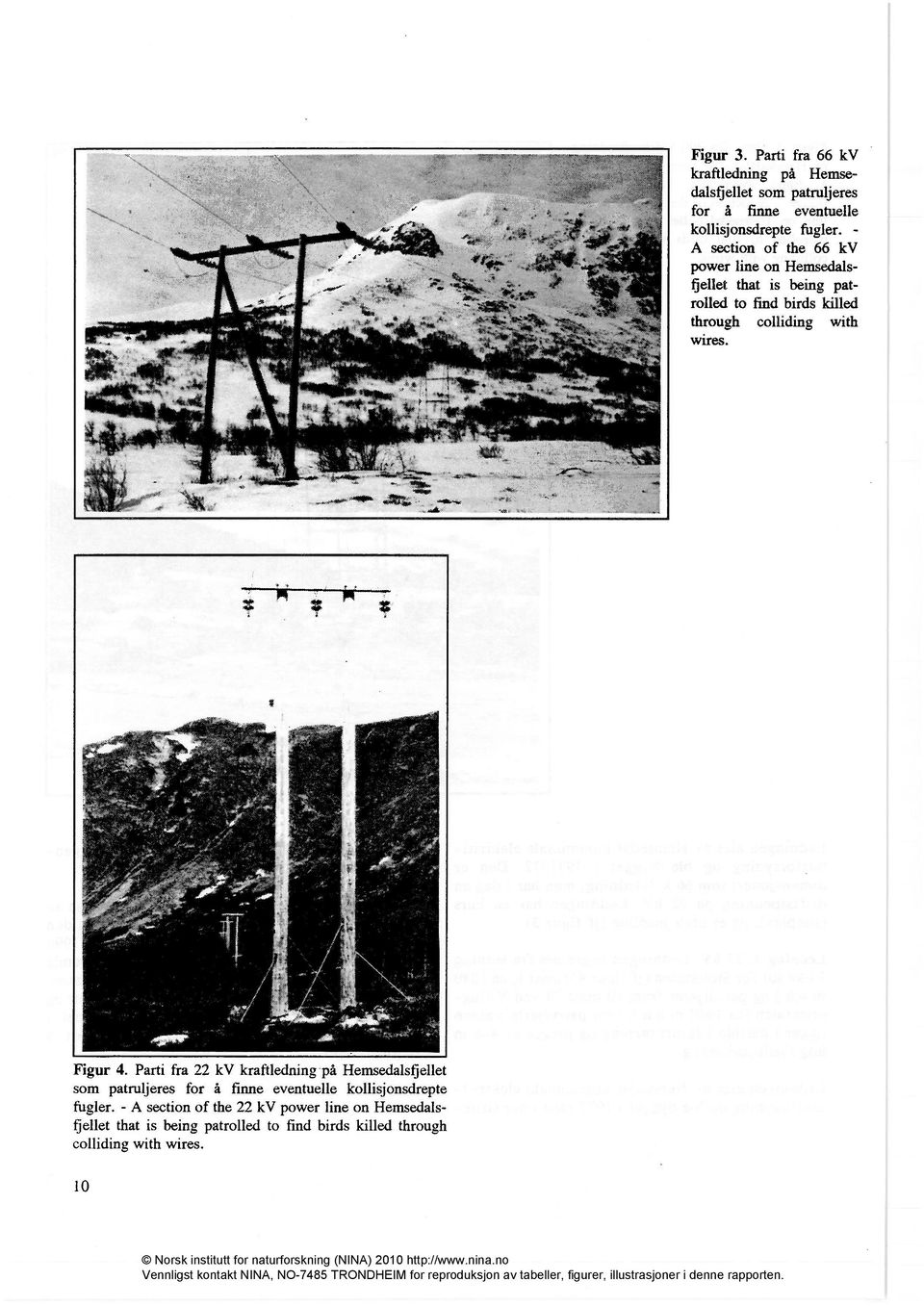 wires. Figur 4. Parti fra 22 kv kraftledning på Hemsedalsfiellet som patruljeres for å finne eventuelle kollisjonsdrepte fugler.