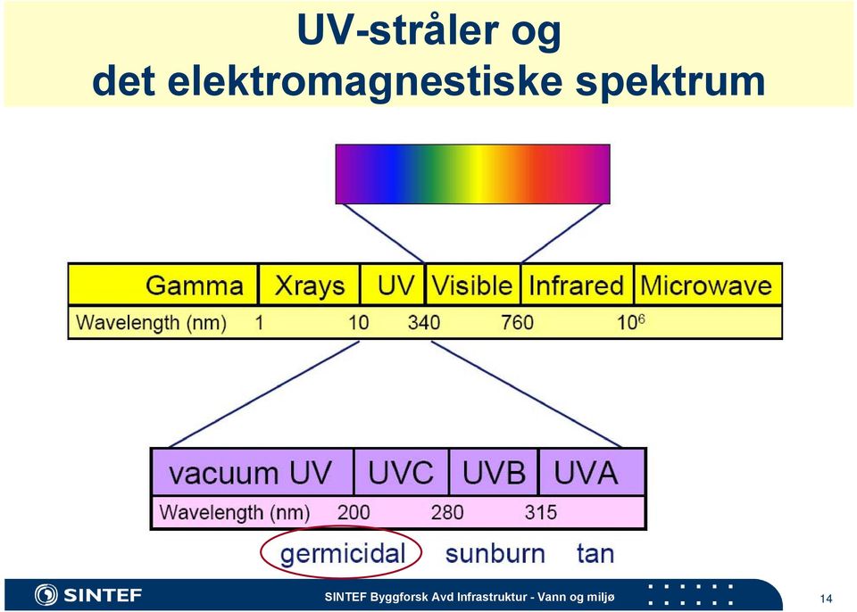 spektrum SINTEF