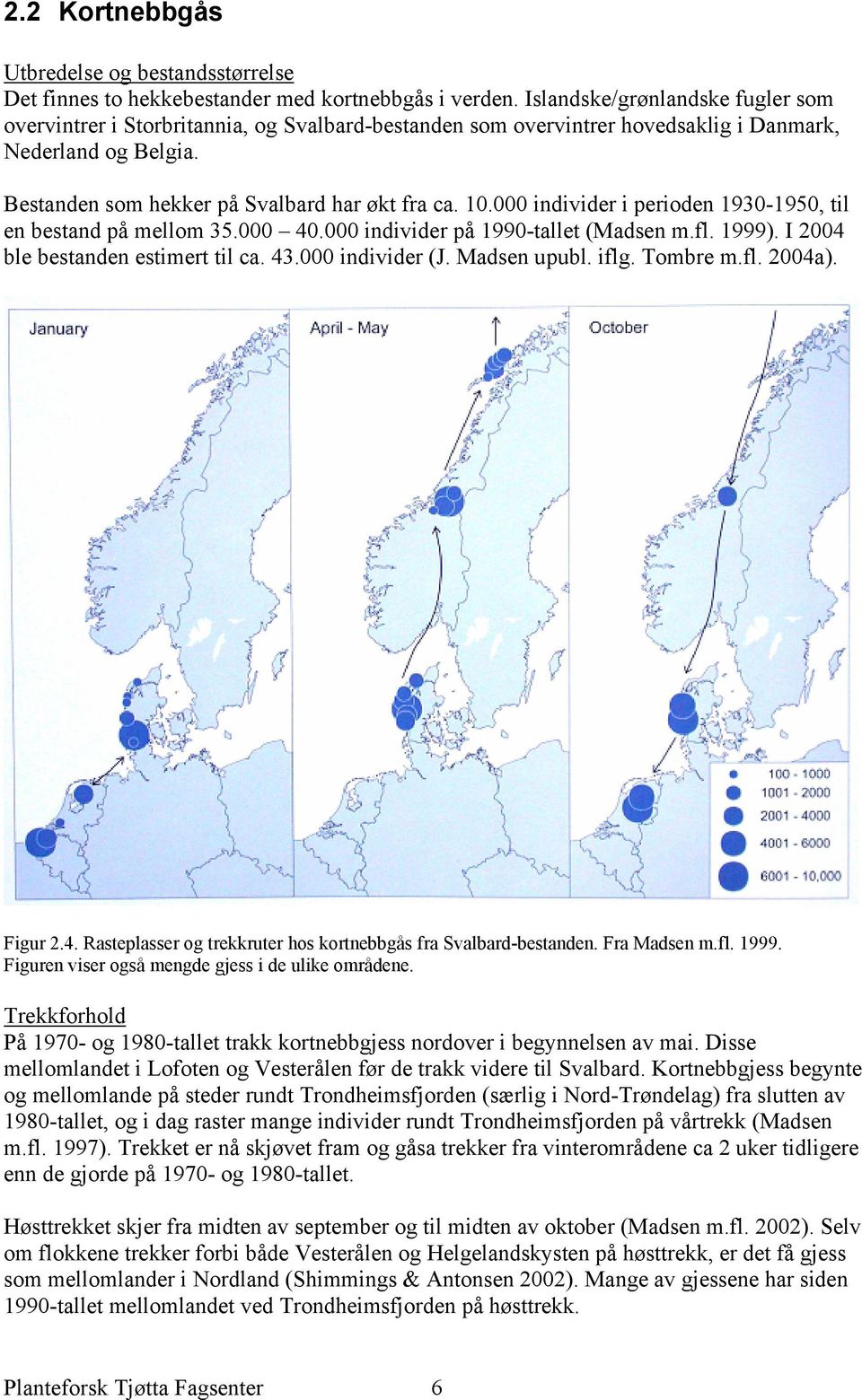 000 individer i perioden 1930-1950, til en bestand på mellom 35.000 40.000 individer på 1990-tallet (Madsen m.fl. 1999). I 2004 ble bestanden estimert til ca. 43.000 individer (J. Madsen upubl. iflg.