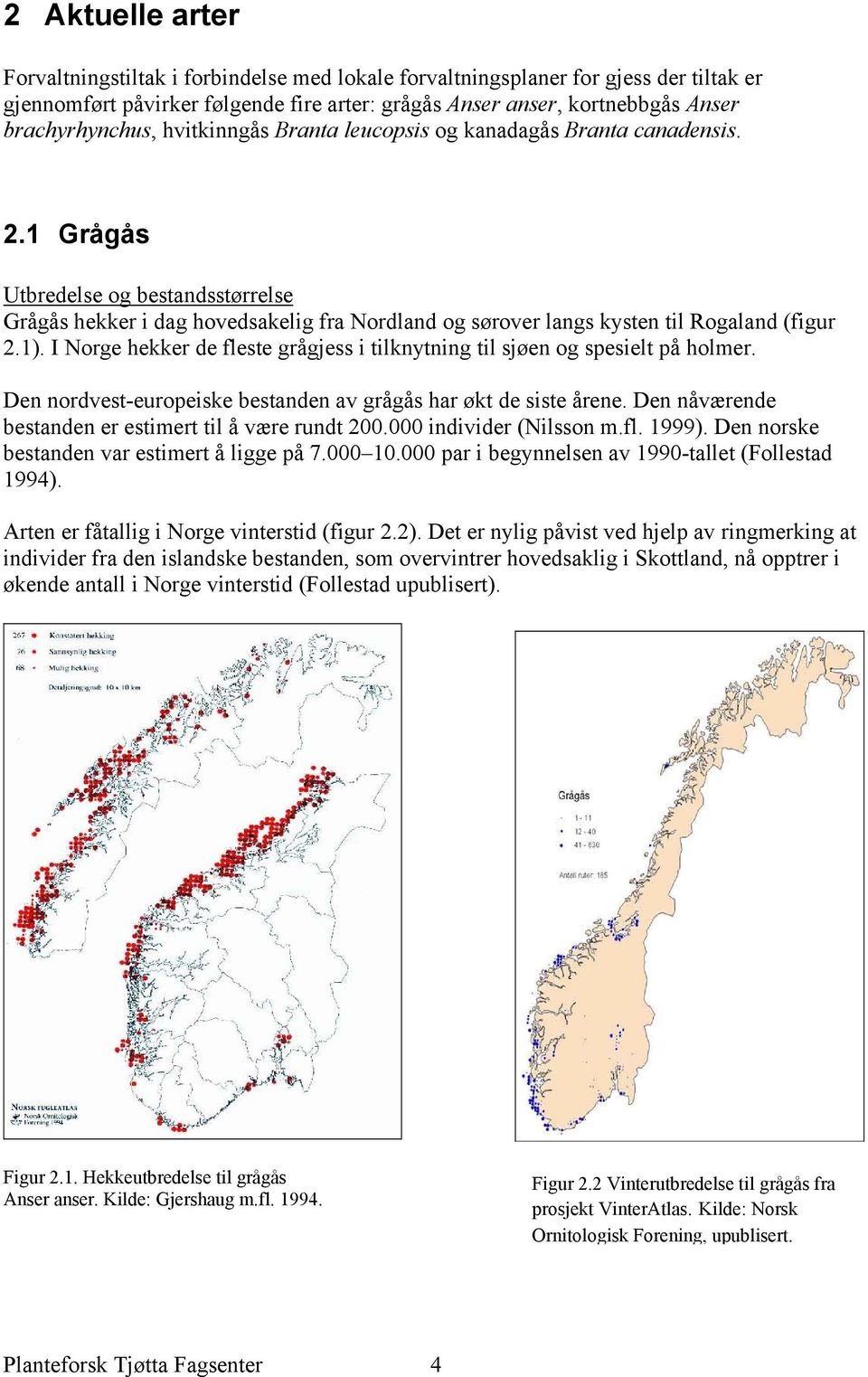 I Norge hekker de fleste grågjess i tilknytning til sjøen og spesielt på holmer. Den nordvest-europeiske bestanden av grågås har økt de siste årene.