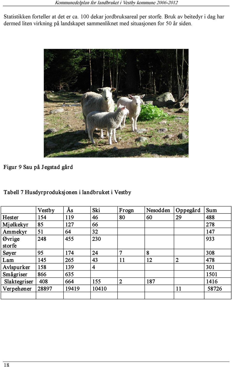 Figur 9 Sau på Jegstad gård Tabell 7 Husdyrproduksjonen i landbruket i Vestby Vestby Ås Ski Frogn Nesodden Oppegård Sum Hester 154 119 46 80 60 29 488 Mjølkekyr