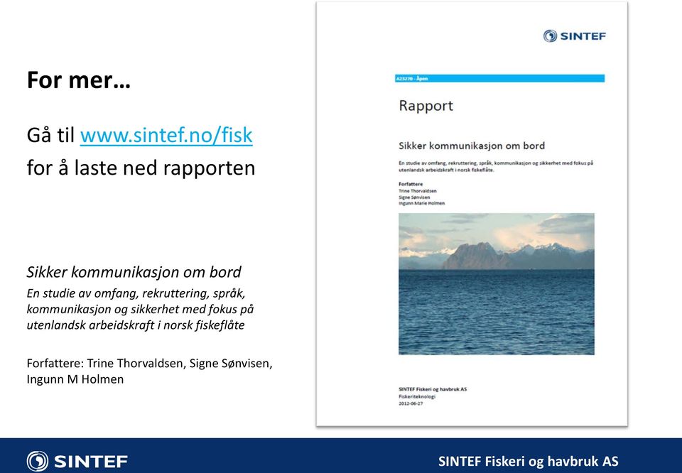 omfang, rekruttering, språk, kommunikasjon og sikkerhet med fokus på