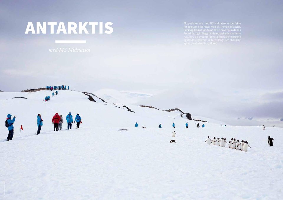 Først og fremst får du oppleve høydepunktene i Antarktis, og i tillegg får du utforske den