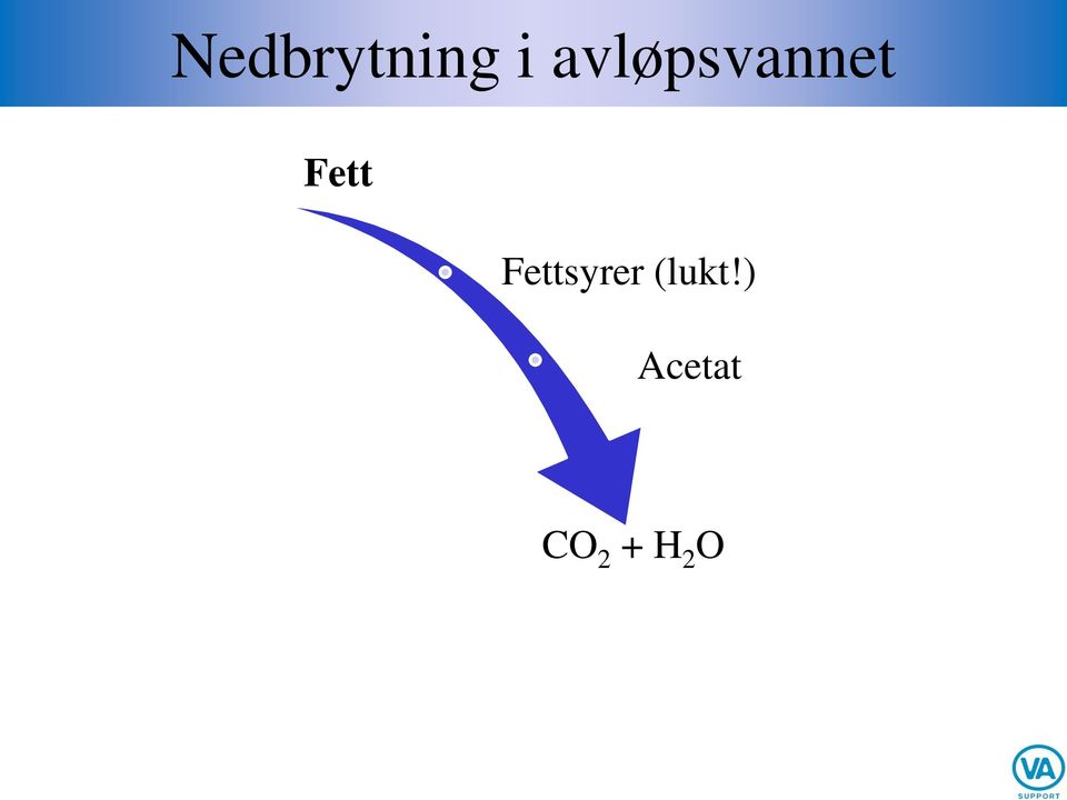 Fettsyrer (lukt!