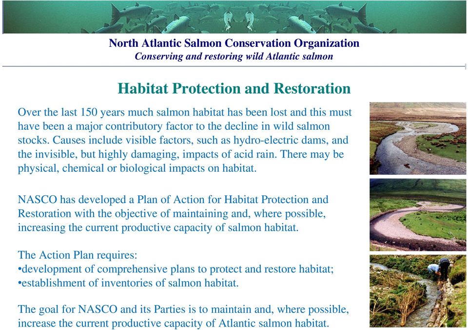 Causes include visible factors, such as hydro-electric dams, and the invisible, but highly damaging, impacts of acid rain. There may be physical, chemical or biological impacts on habitat.