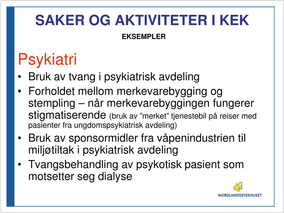 tjenestebil på reiser med pasienter fra ungdomspsykiatrisk avdeling) Bruk av sponsormidler fra