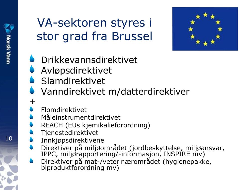 Tjenestedirektivet Innkjøpsdirektivene Direktiver på miljøområdet (jordbeskyttelse, miljøansvar, IPPC,