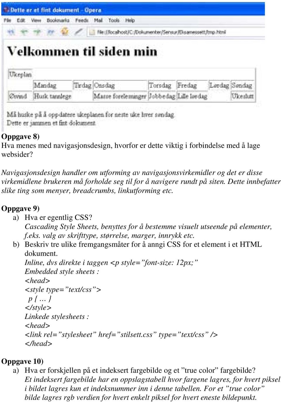 Dette innbefatter slike ting som menyer, breadcrumbs, linkutforming etc. Oppgave 9) a) Hva er egentlig CSS? Cascading Style Sheets, benyttes for å bestemme visuelt utseende på elementer, f.eks.