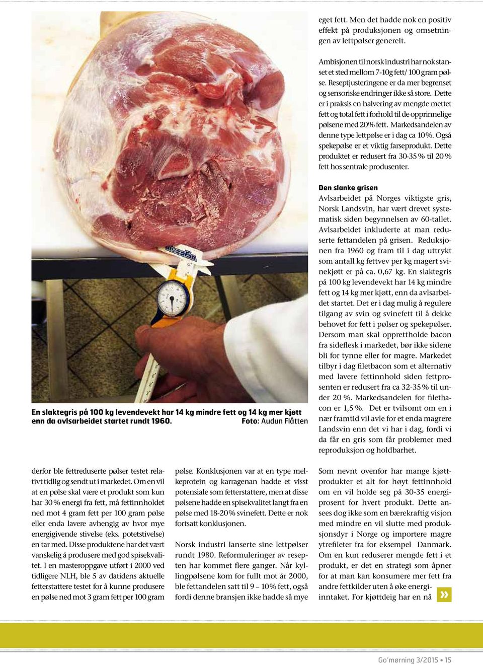 Markedsandelen av denne type lettpølse er i dag ca 10 %. Også spekepølse er et viktig farseprodukt. Dette produktet er redusert fra 30-35 % til 20 % fett hos sentrale produsenter.