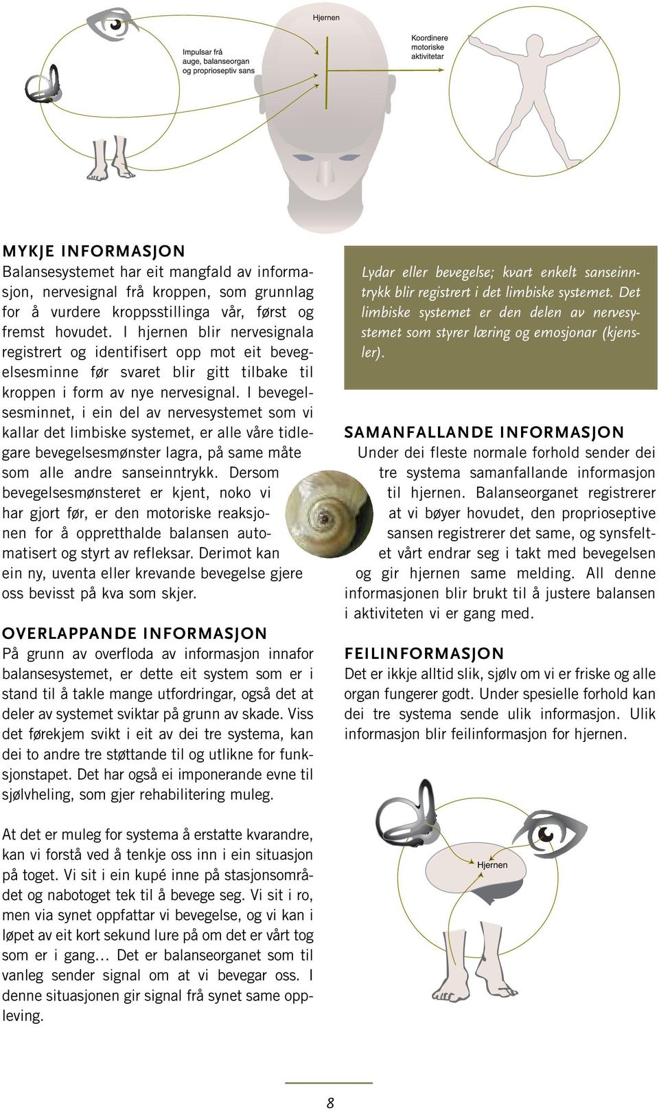 I bevegelsesminnet, i ein del av nervesystemet som vi kallar det limbiske systemet, er alle våre tidlegare bevegelsesmønster lagra, på same måte som alle andre sanseinntrykk.