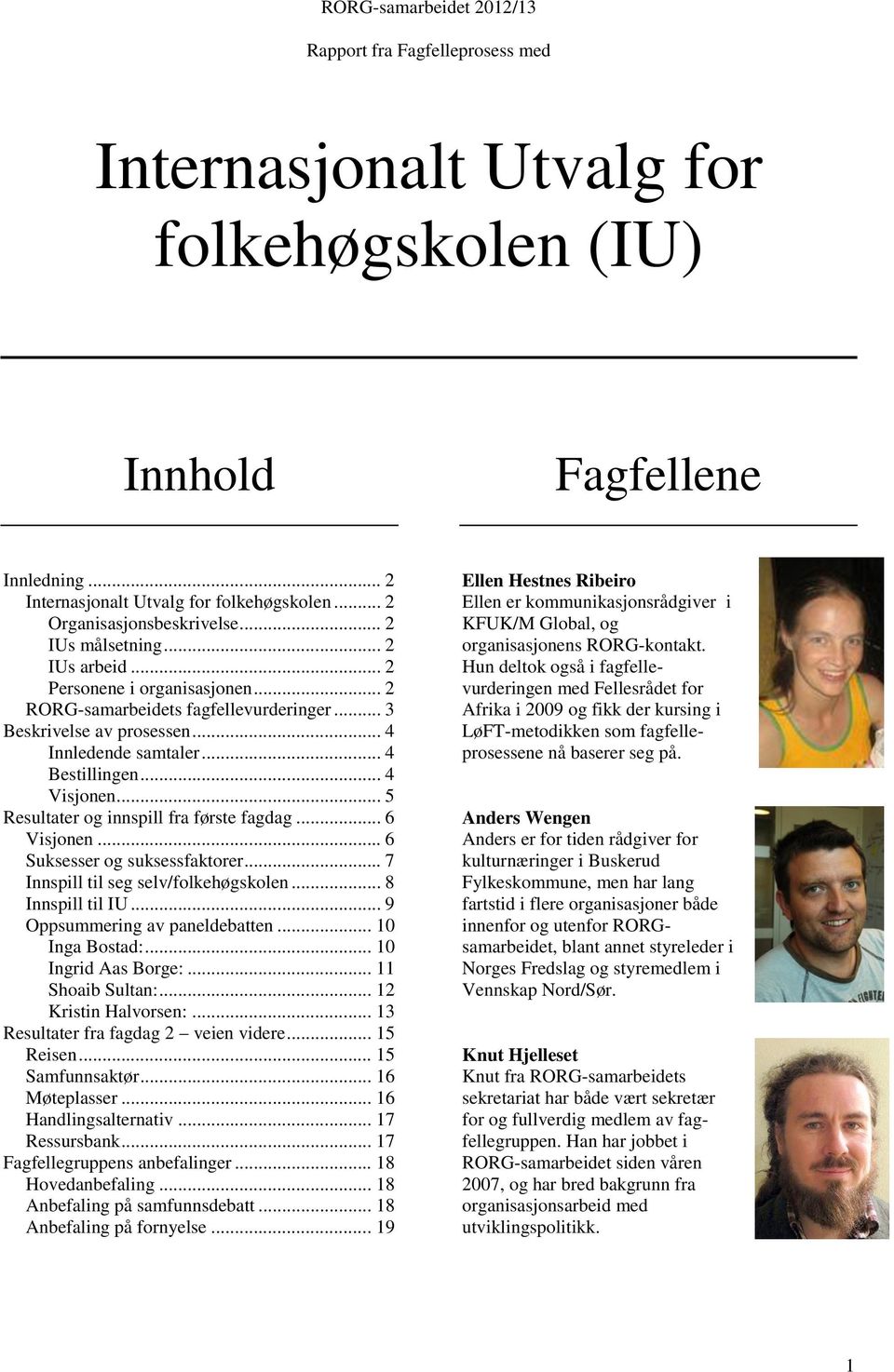 .. 4 Bestillingen... 4 Visjonen... 5 Resultater og innspill fra første fagdag... 6 Visjonen... 6 Suksesser og suksessfaktorer... 7 Innspill til seg selv/folkehøgskolen... 8 Innspill til IU.