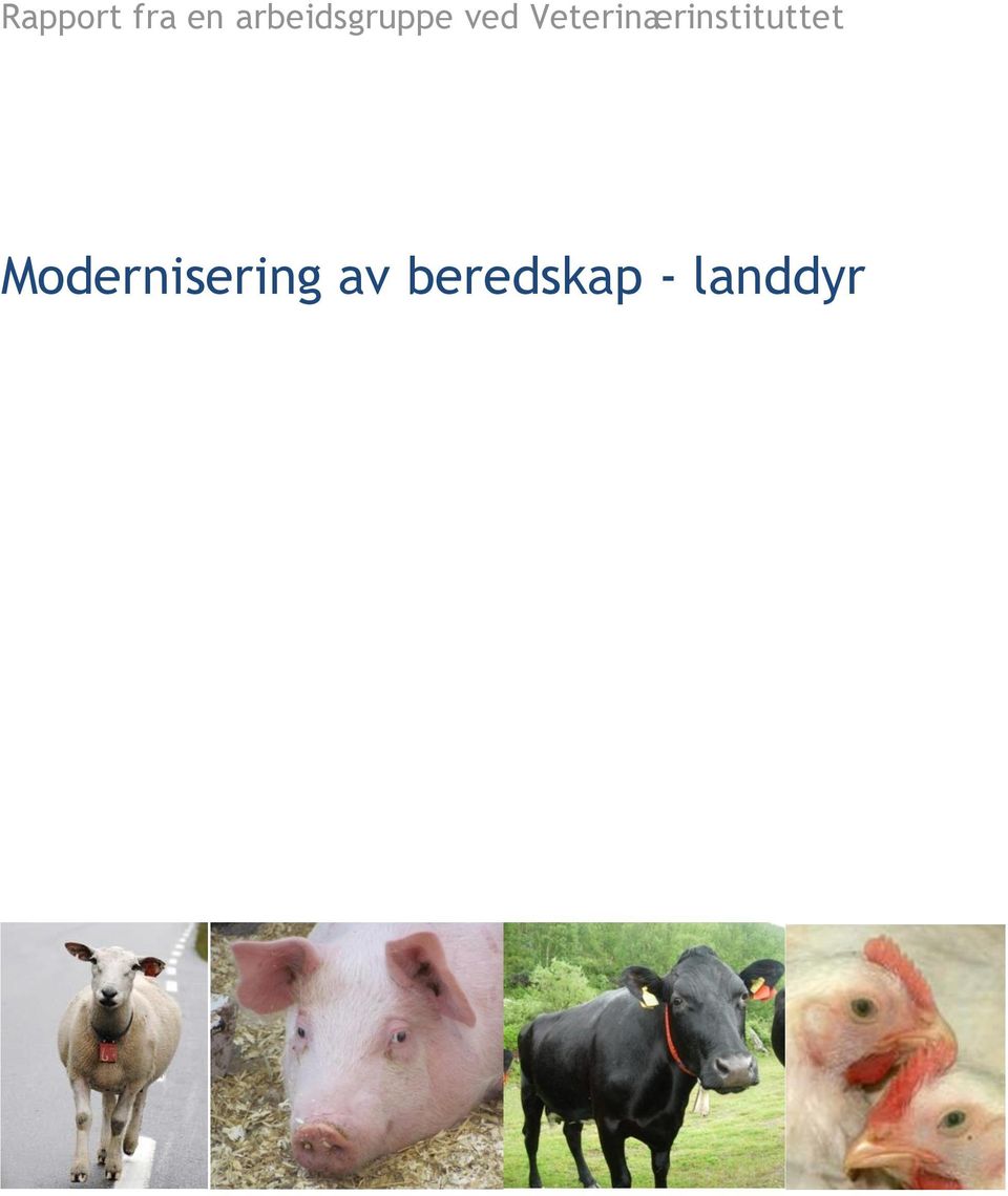 Veterinærinstituttet