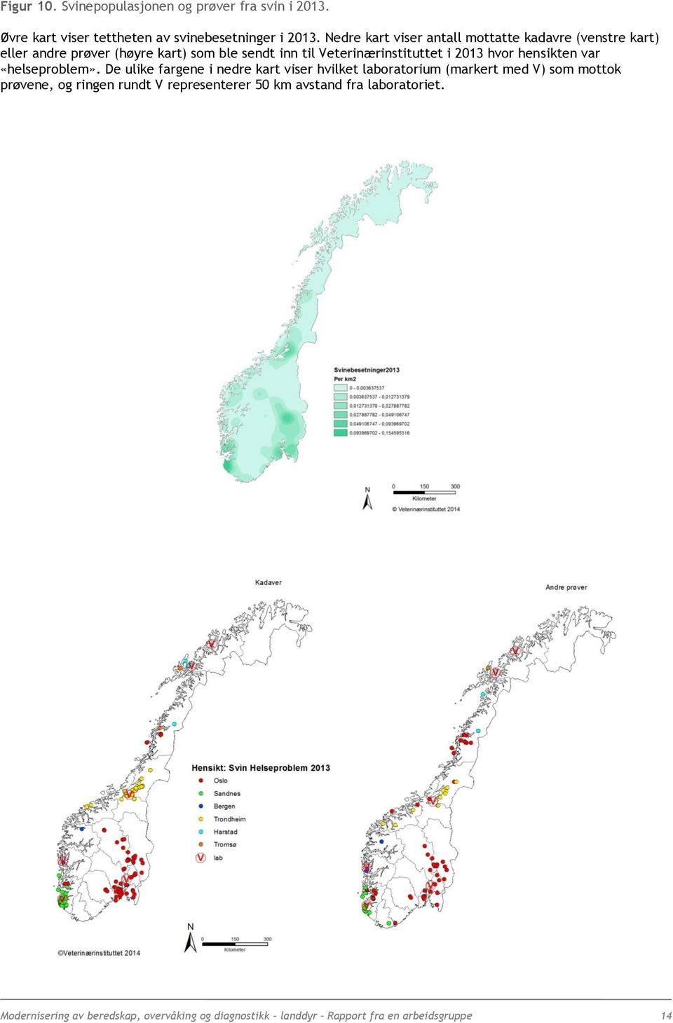 2013 hvor hensikten var «helseproblem».