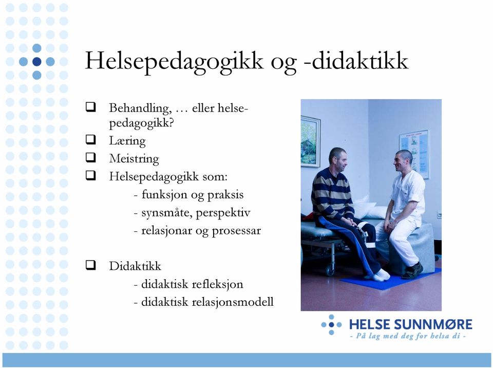 Læring Meistring Helsepedagogikk som: - funksjon og