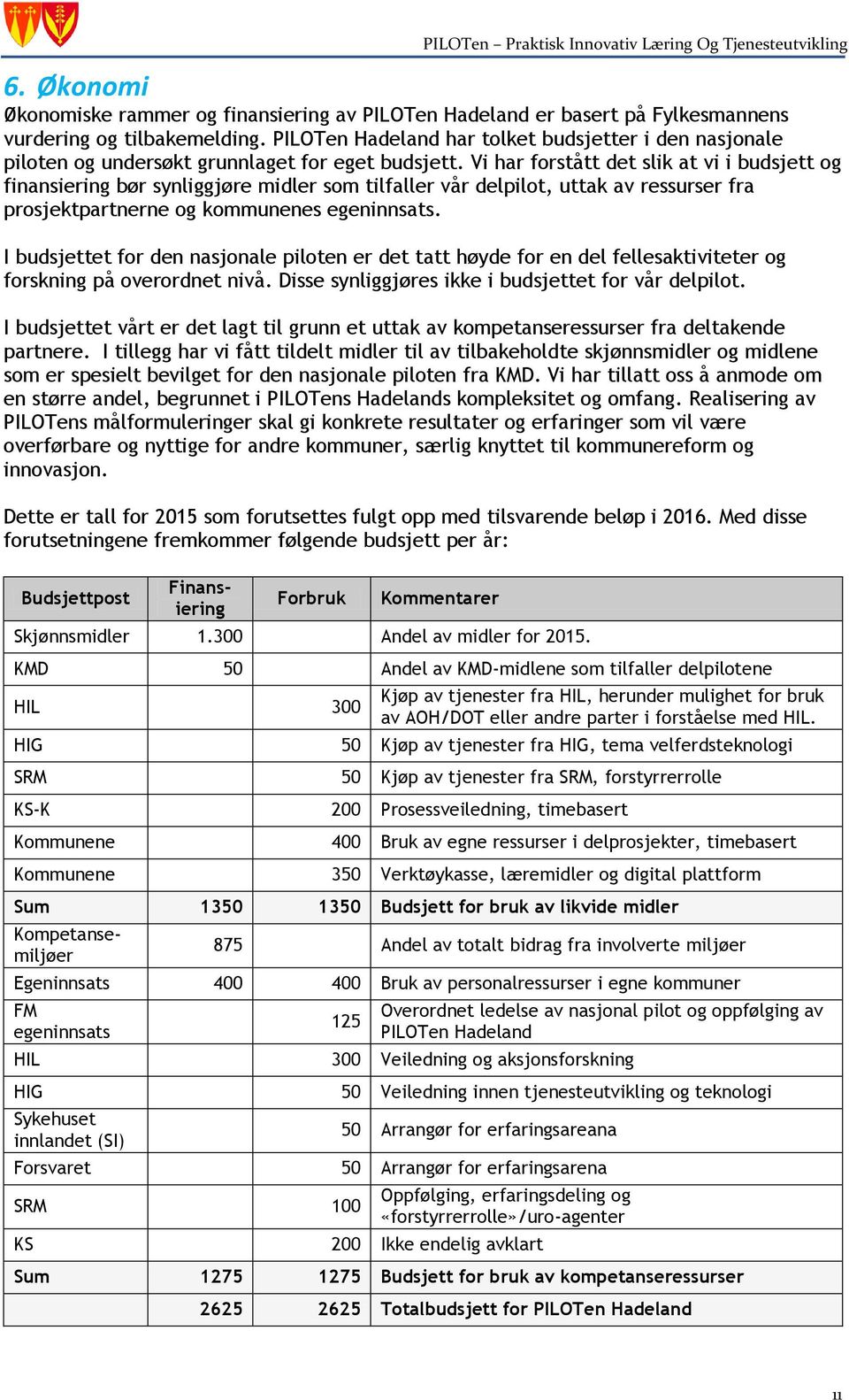 Vi har forstått det slik at vi i budsjett og finansiering bør synliggjøre midler som tilfaller vår delpilot, uttak av ressurser fra prosjektpartnerne og kommunenes egeninnsats.