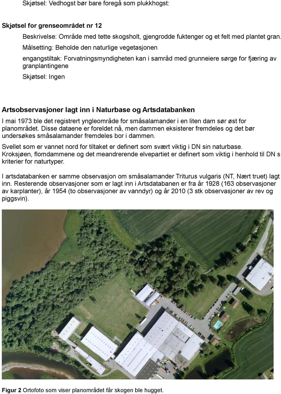 Naturbase og Artsdatabanken I mai 1973 ble det registrert yngleområde for småsalamander i en liten dam sør øst for planområdet.