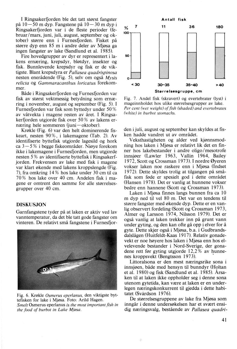 Fisket på større dyp enn 85 m i andre deler av Mjøsa ga ingen fangster av lake (Sandlund et al. 1985). Fire hovedgrupper av dyr er representert i lakens ernæring, krepsdyr, bløtdyr, insekter og fisk.