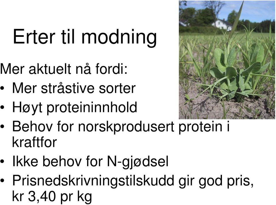 norskprodusert protein i kraftfor Ikke behov for