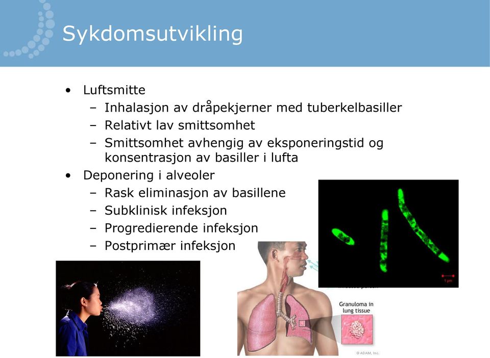 eksponeringstid og konsentrasjon av basiller i lufta Deponering i