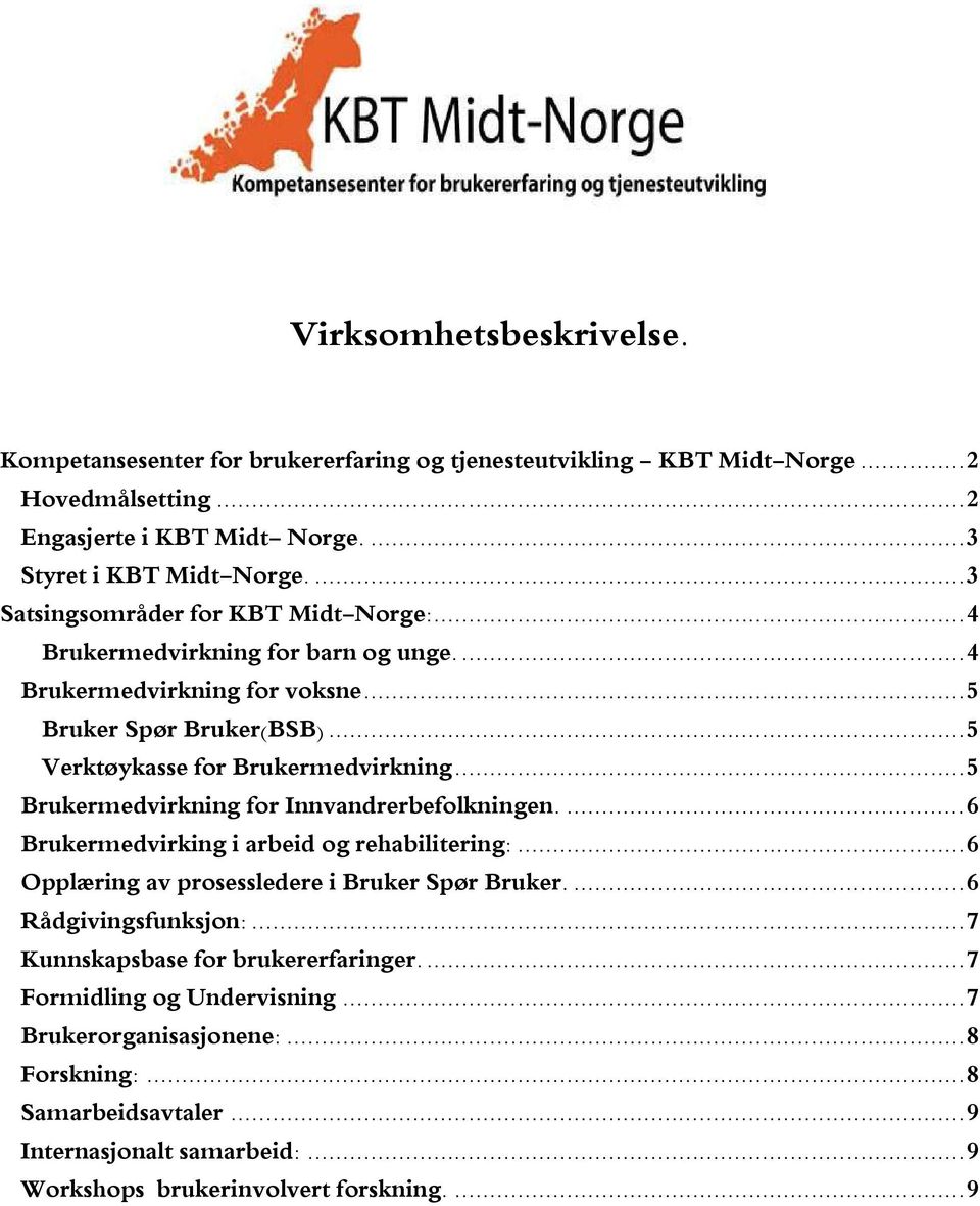 ..5 Brukermedvirkning for Innvandrerbefolkningen....6 Brukermedvirking i arbeid og rehabilitering:...6 Opplæring av prosessledere i Bruker Spør Bruker....6 Rådgivingsfunksjon:.