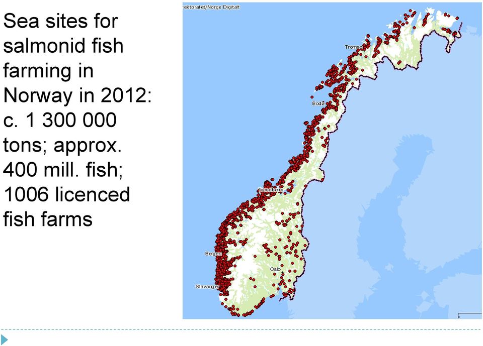 1 300 000 tons; approx.