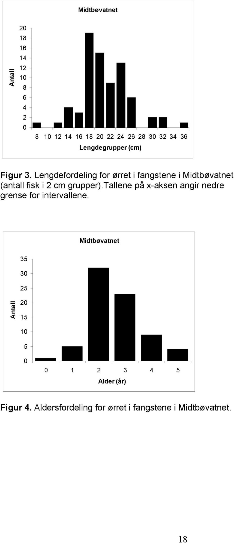 Lengdefordeling for ørret i fangstene i Midtbøvatnet (antall fisk i 2 cm grupper).