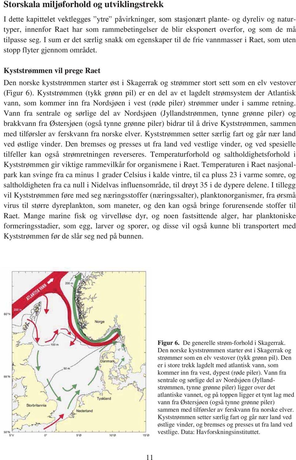 Kyststrømmen vil prege Raet Den norske kyststrømmen starter øst i Skagerrak og strømmer stort sett som en elv vestover (Figur 6).