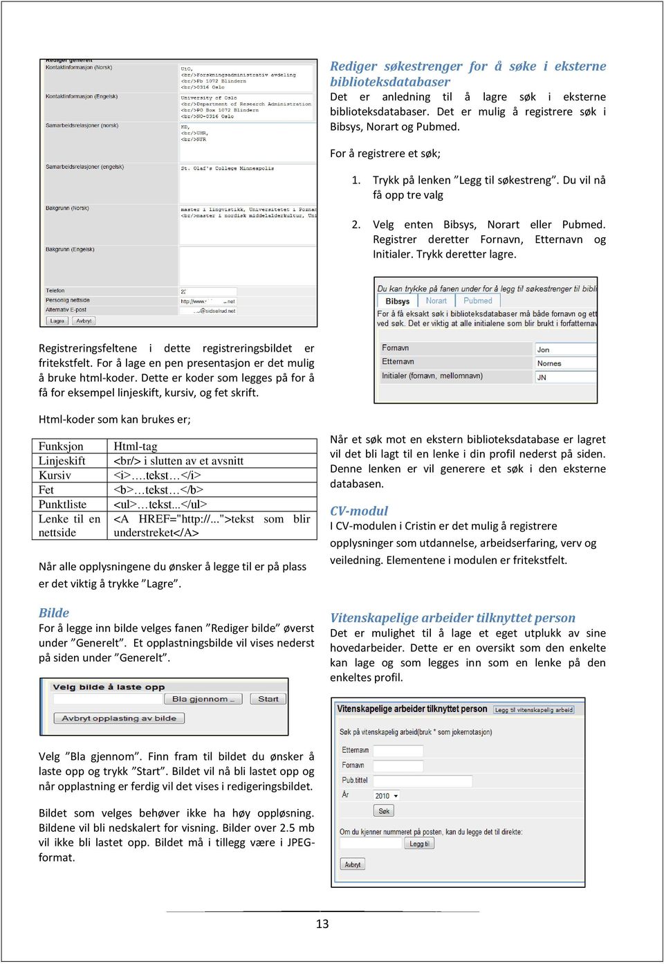 Trykk deretter lagre. Registreringsfeltene i dette registreringsbildet er fritekstfelt. For å lage en pen presentasjon er det mulig å bruke html-koder.