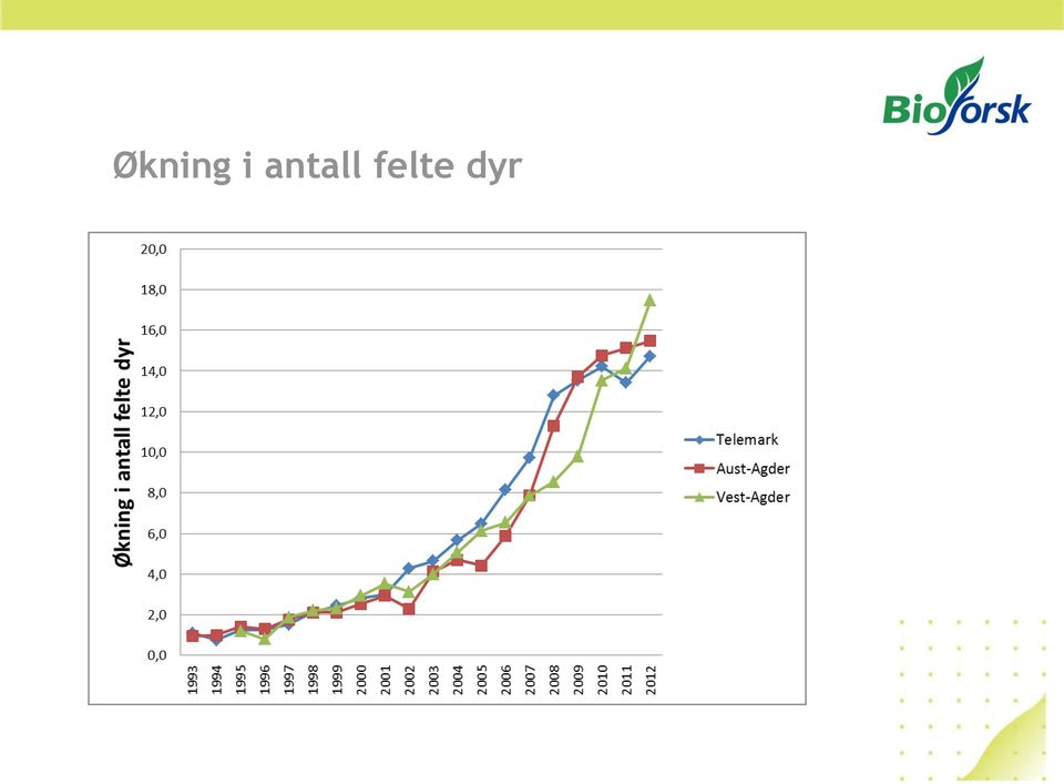 felte dyr