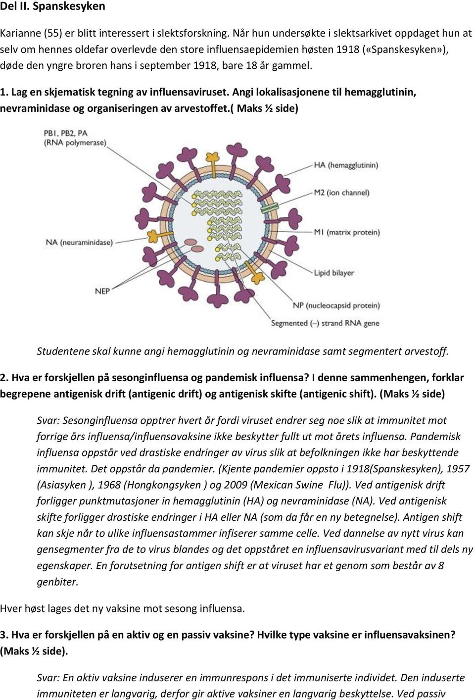 gammel. 1. Lag en skjematisk tegning av influensaviruset. Angi lokalisasjonene til hemagglutinin, nevraminidase og organiseringen av arvestoffet.