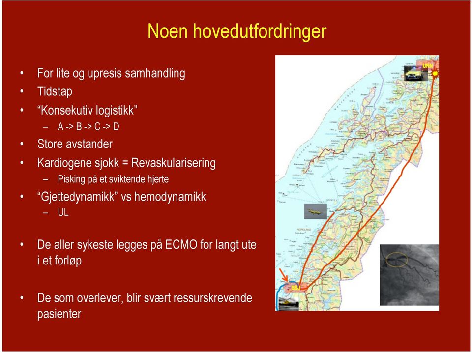 Pisking på et sviktende hjerte Gjettedynamikk vs hemodynamikk UL De aller sykeste