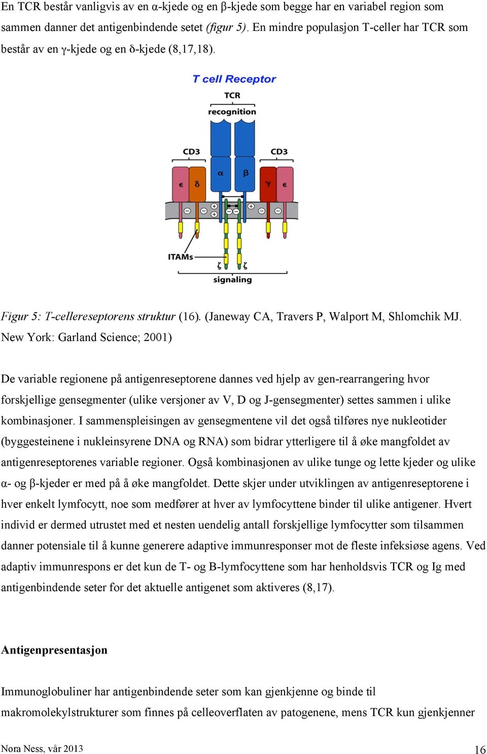New York: Garland Science; 2001) De variable regionene på antigenreseptorene dannes ved hjelp av gen-rearrangering hvor forskjellige gensegmenter (ulike versjoner av V, D og J-gensegmenter) settes