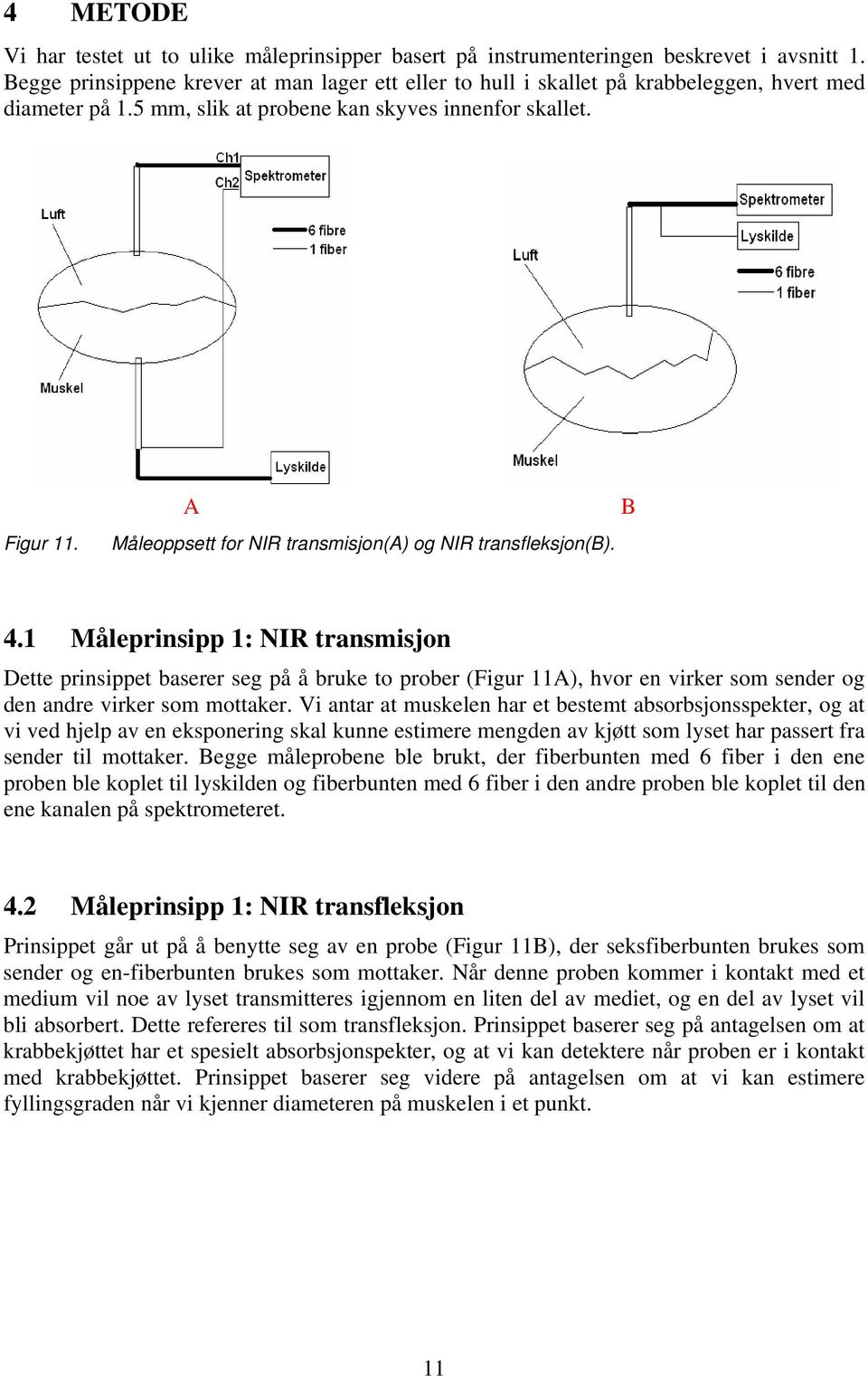 A Måleoppsett for NIR transmisjon(a) og NIR transfleksjon(b). B 4.