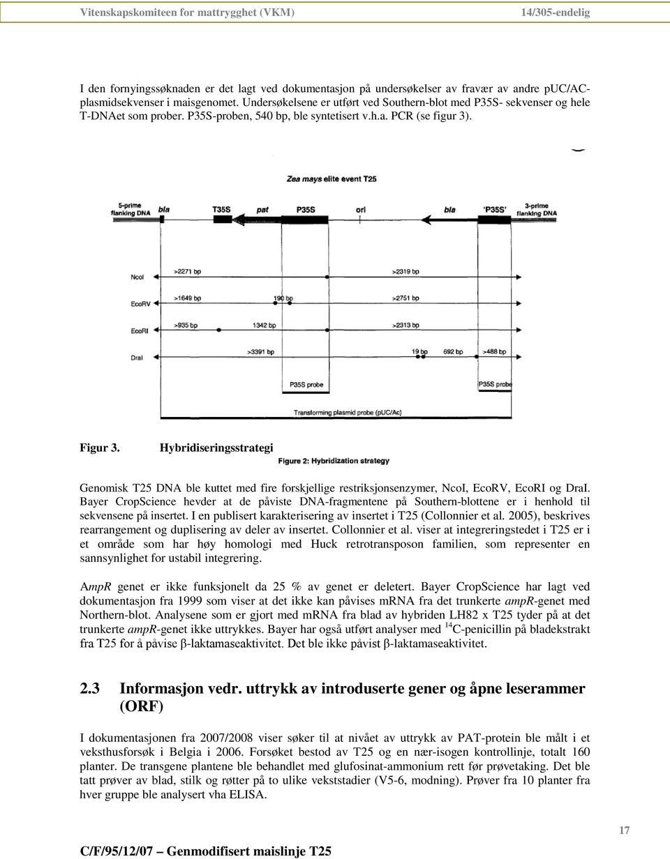 Hybridiseringsstrategi Genomisk T25 DNA ble kuttet med fire forskjellige restriksjonsenzymer, NcoI, EcoRV, EcoRI og DraI.