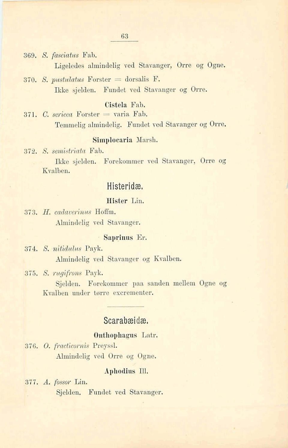 Forekommer ved Stavanger, Qrre og HvnIben, Hlster Lin. 37 3. H. eadal;erinics Haffm. Almindelig ved Stavanger. Sap@nus Er, 974, 8, nitid uk^ l'nyk.