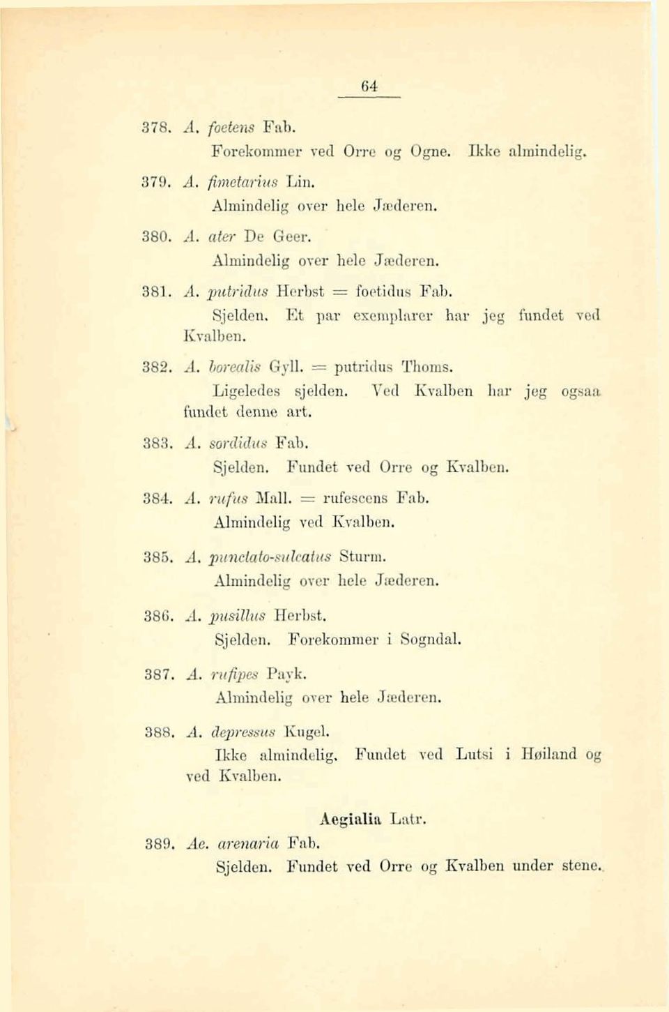 Fundet ved Orre og Kvalben. 384. 8. ricf48 alall. = rufescenris Fab. BEmindeIig ved Kvalben. 386. 8. ptsnclqt4-mhtw S h. Ahindelig over hele Jmderen. 386. A, psa'llus Herbst, Sjelden.