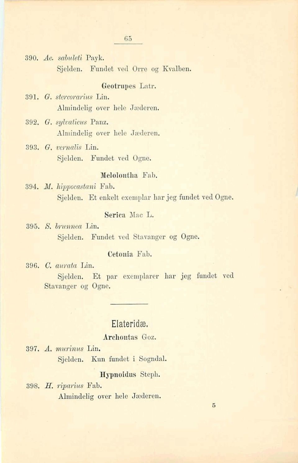 Cetoda Fab. 396. 6'. auah Lin. Sjelden. Et par eieenrriplnrer har jeg fundet vod Stnvanger og Ogne. Elateridæ, Archontaa Gaz. 397.