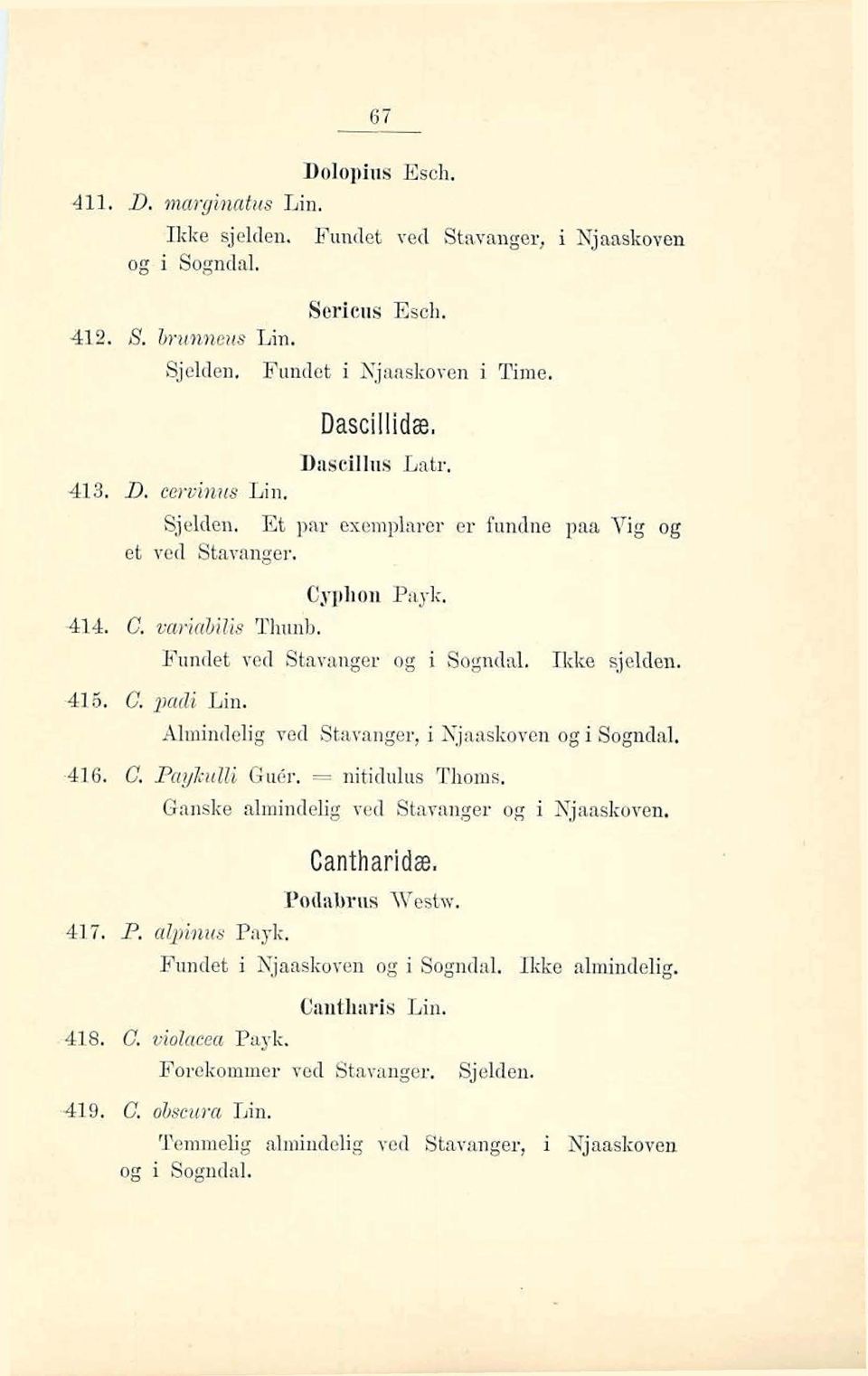 C, pdi Lin, Alrninddig ved Staparigrer, i Njaaskoven og i Sogndal. 416. CI.%yPzllti GuBr. = nitiilulus Tlioins. G~nske aimindeiig ed Stnva~iger og i Njaaskoven. Cantharidæ, Paiiabriu; TFTestw. 41'7.