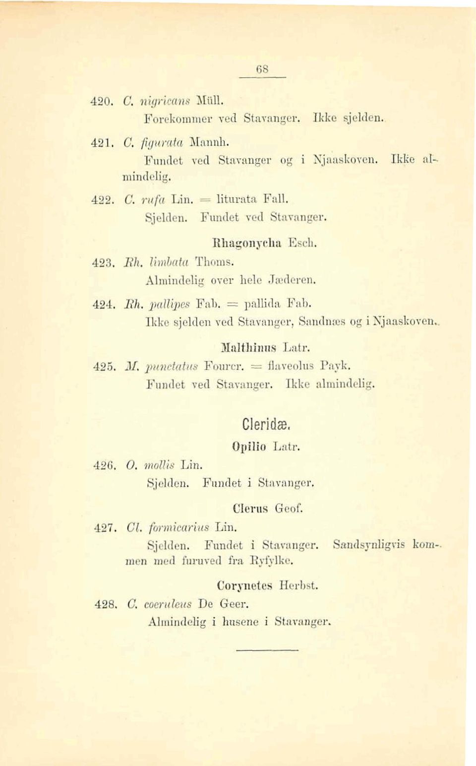 M, p?ictatiia Fourcr. = flaveolus Payk. Fundet ved Sta~nnger. Ikke alrnindelig. Cleridæ, Opilio Latr. 4a6, 0, mollis Lin. Sjddcn, Fundet i Stavanger, 4517.