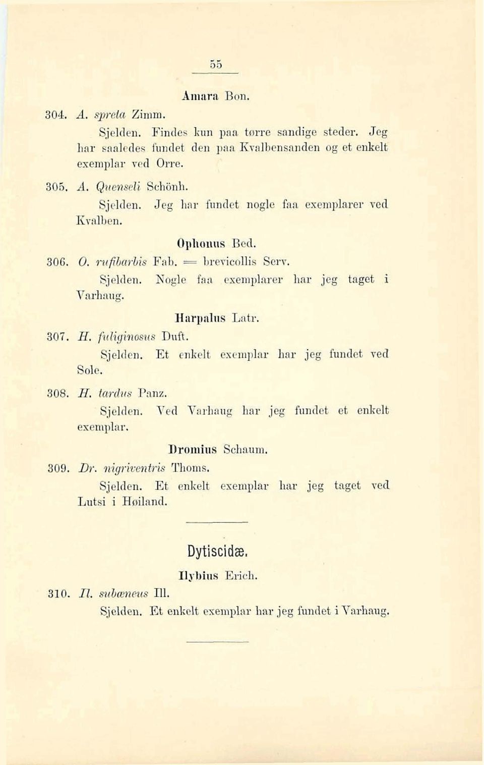 Harpaliis Latr. 307. E. fisiiginosz{s Duft. Sjelden. Et enkelt exemlila har jeg fundet ved Sole. 308. H, tardus Panz. Sjelden. Ved Varhaug har jeg fundet et enkelt exemplar.