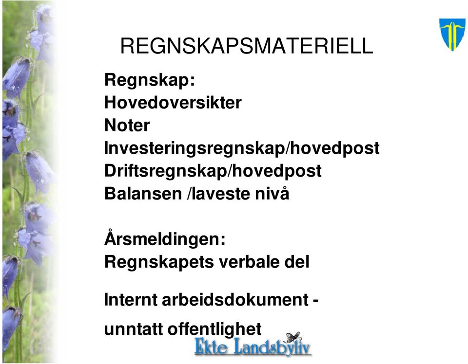 Driftsregnskap/hovedpost Balansen /laveste nivå