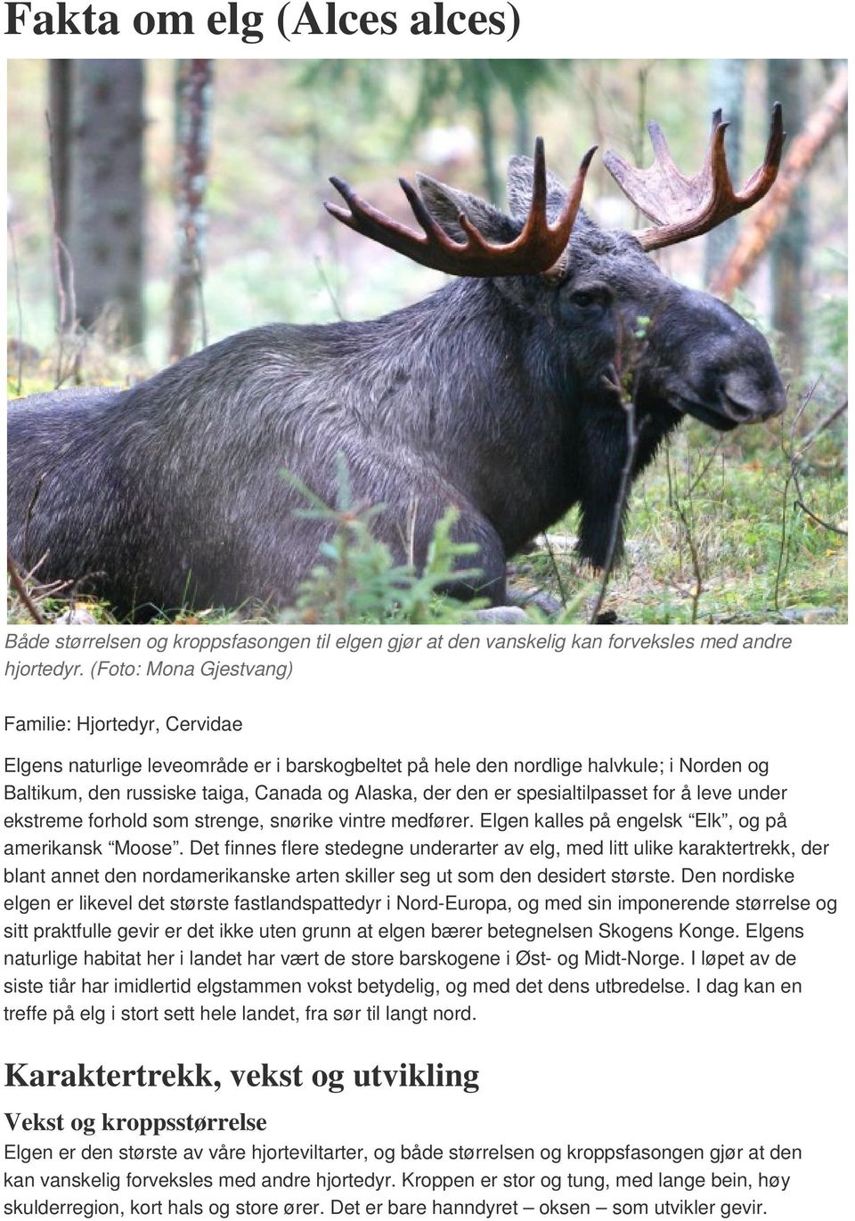 er spesialtilpasset for å leve under ekstreme forhold som strenge, snørike vintre medfører. Elgen kalles på engelsk Elk, og på amerikansk Moose.