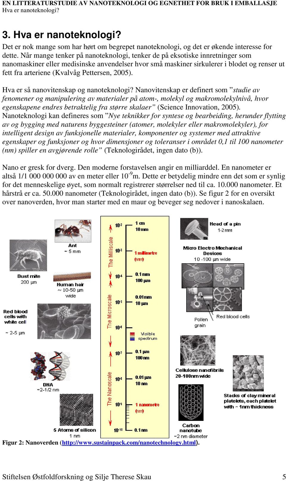 Pettersen, 2005). Hva er så nanovitenskap og nanoteknologi?