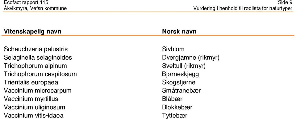 microcarpum Vaccinium myrtillus Vaccinium uliginosum Vaccinium vitis-idaea Norsk navn