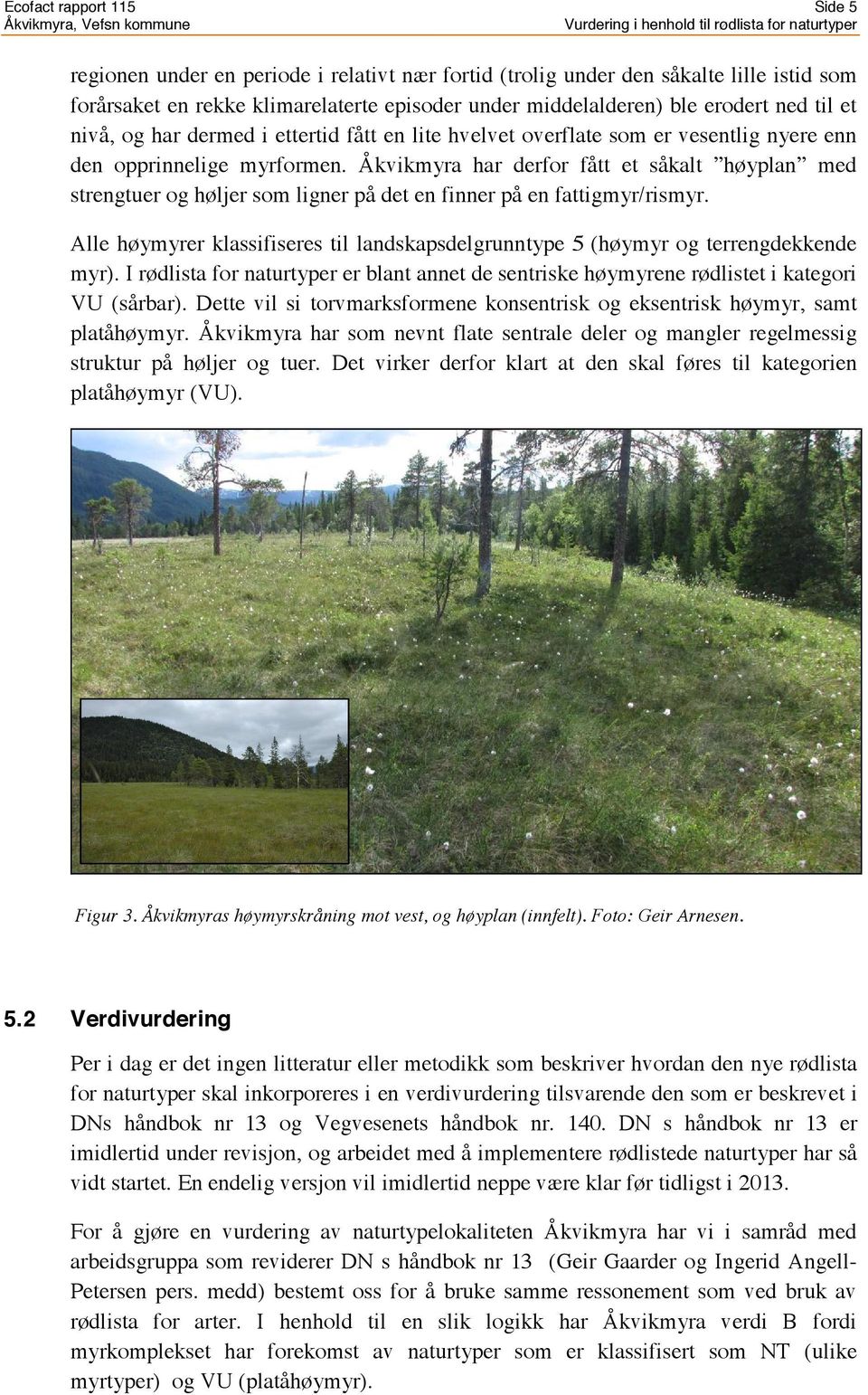 Åkvikmyra har derfor fått et såkalt høyplan med strengtuer og høljer som ligner på det en finner på en fattigmyr/rismyr.