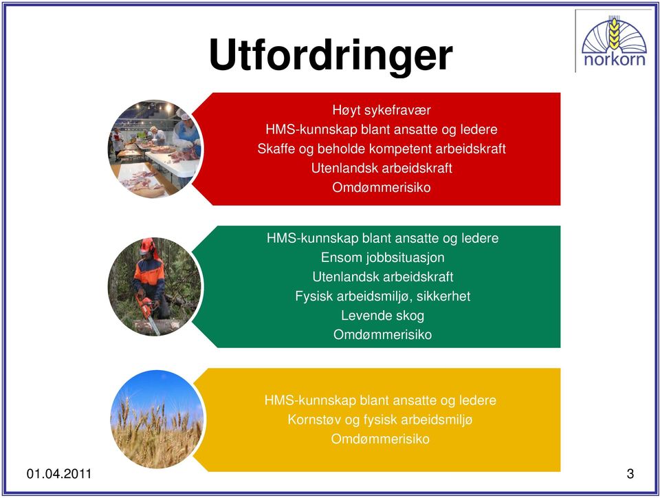 Ensom jobbsituasjon Utenlandsk arbeidskraft Fysisk arbeidsmiljø, sikkerhet Levende skog