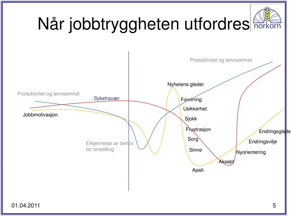 Forvirring Usikkerhet Sjokk Erkjennelse av behov for omstilling