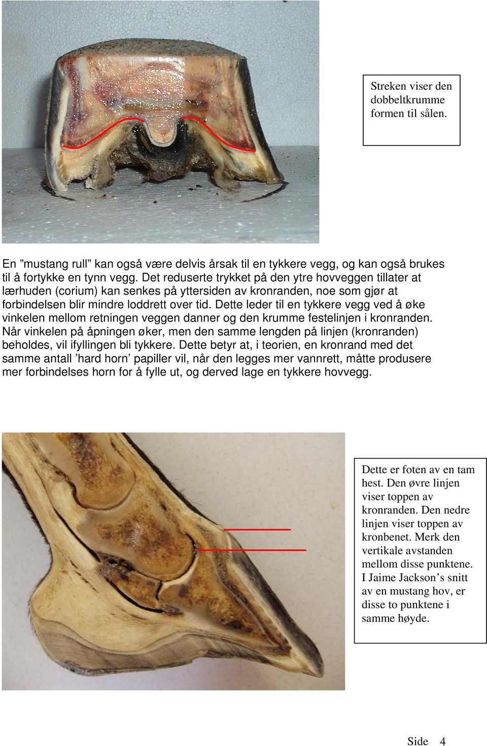 Dette leder til en tykkere vegg ved å øke vinkelen mellom retningen veggen danner og den krumme festelinjen i kronranden.