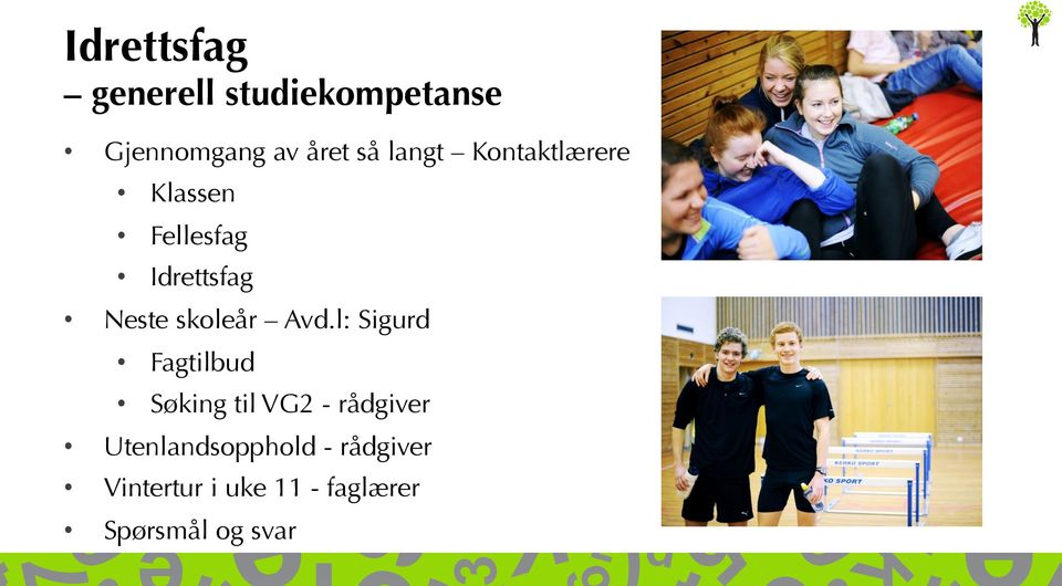 skoleår Avd.