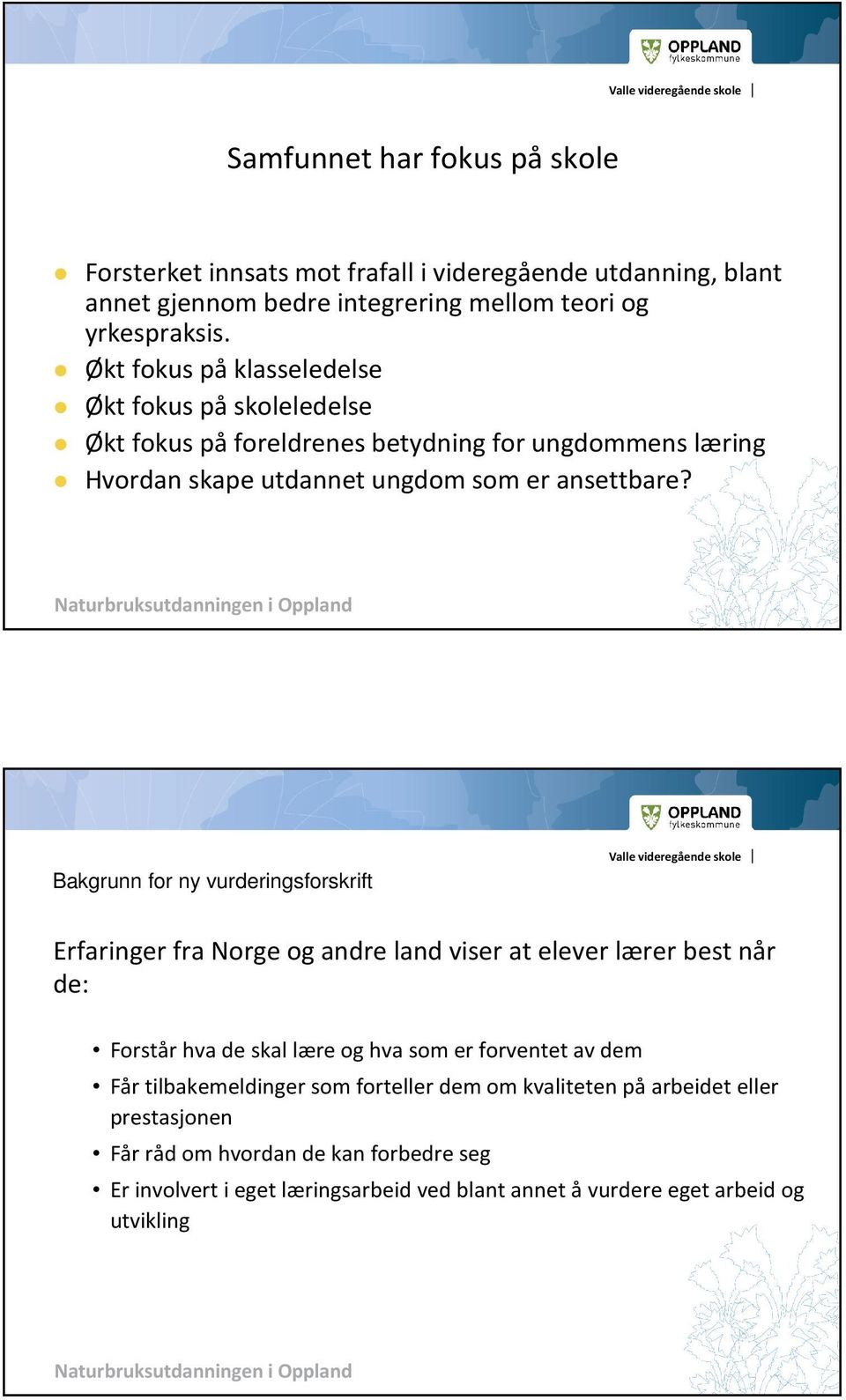 Bakgrunn for ny vurderingsforskrift Erfaringer fra Norge og andre land viser at elever lærer best når de: Forstår hva de skal lære og hva som er forventet av dem Får